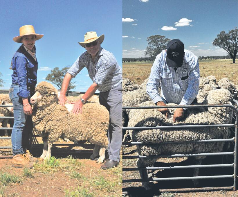 High performing ewe 160337 with MerinoLink MLP site manager Lexi Cesnik and Geoff Lindon of Australian Wool Innovation (AWI), and the low performing ewe, 160324, with Marty Moses of Moses and Son. Photos: supplied 