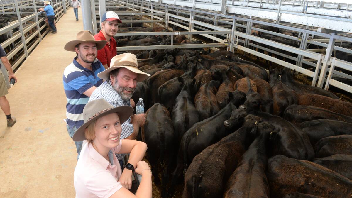Dale, Shaun, Mark and Renae Quilter from Quilter Nominees, Belalie, Narranderra, with a pen of their steers offered during day two of the weaner sales at Northern Riverina Livestock Exchange (NVLX). 