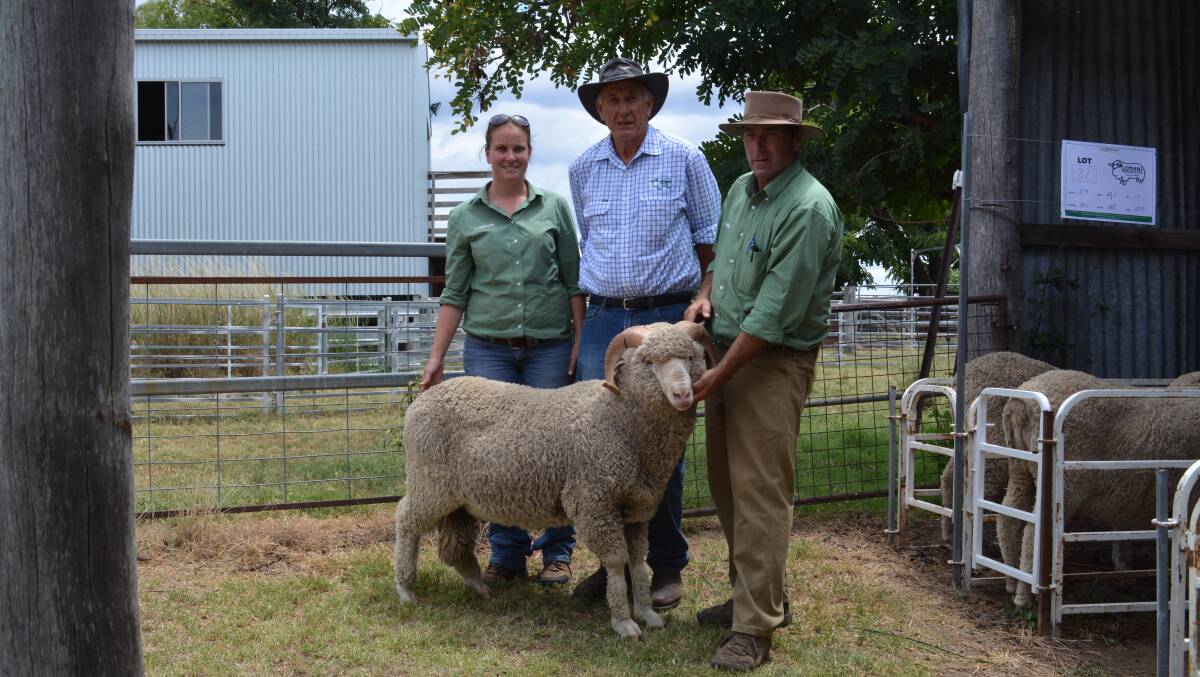 Lemani co-principals Nikki Symons, Inverell, and father Steve Symons, Ashford, with Landmark agent Angus Carter, Armidale, and the $1600 sale topping ram Lemani 87 purchased by the Conkey family, Ashford. 