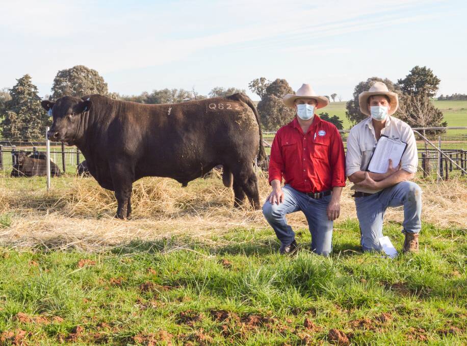 The $100,000 second top-priced bull with Yallambee Angus stud manager David Croker, Berrima and vendor Will Caldwell of Milwillah Angus, Young.