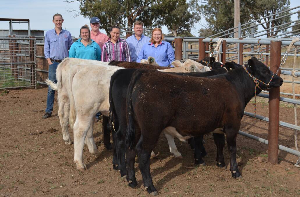 Five steers have been donated in preparation for the Sydney Royal Show next April, including two from Curragindi Charolais, an Angus from Wincraeden Pastoral, and a purebred Limousin and crossbred from Le Matres Limousin. 