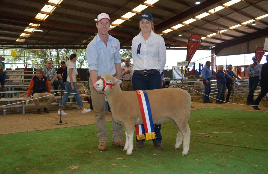 The grand champion ewe that went on to be supreme exhibit held by James Gilmore, Tattykeel stud, Oberon, with Esther Glasgow, Estjam stud, Victoria. 
