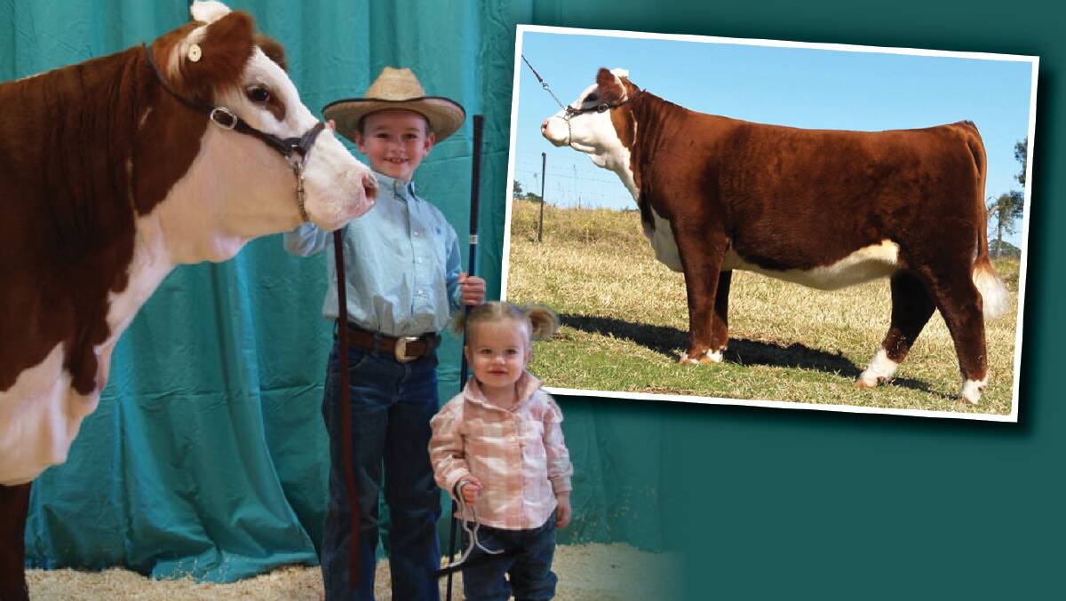 YOUNG CHAMPIONS: Kody Stevens, 8, and sister Bailey, 18 months, with his senior and grand champion Poll Hereford female, Twojay 44D Rhythm R1, which also won champion bred and owned heifer. Photos: supplied 