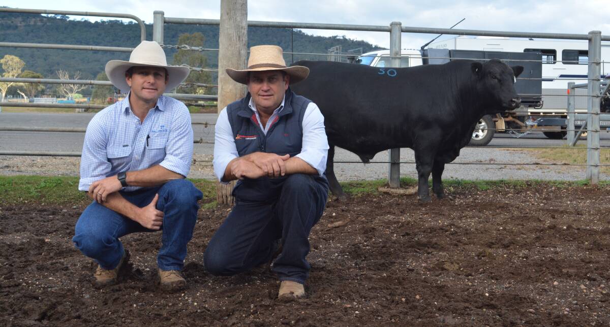 Palgrove's Ben Noller and auctioneer Luke Scicluna, Davidson Cameron, Gunnedah with the $26,000 top-priced Ultrablack bull, Palgrove Questa, sold to an online buyer from Toowoomba, Qld. 