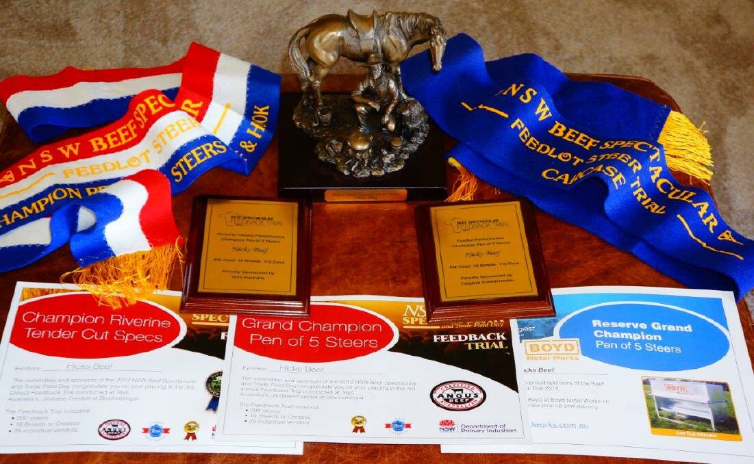 An array of the Hicks Beef ribbons they won from 2011 to 2014. Photo supplied. 