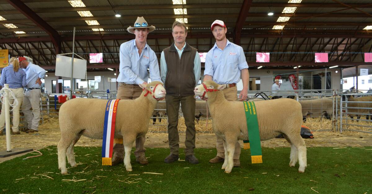 The champion and reserve rams with James and Ross Gilmore, Tattykeel stud, Black Springs, and judge Daryl Dixon (centre), Ashbank Poll Dorsets, Dubbo.