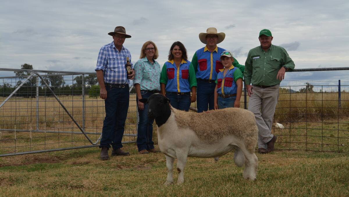 Pictured with their $15,000 top-priced Dorper ram are repeat buyers Phil and Trish Palmer, Ivanhoe, with Amarula Dorper owners Lorroi and Justin Kirkby and their son Flynn, and Landmark auctioneer John Settree. 