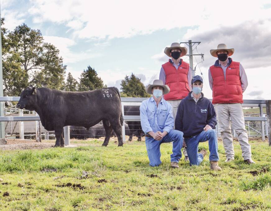 The $30,000 sale-topper, Gilmandyke News Flash Q101, with Bowyer and Livermore agents Harry Phillips and Justin Guy, and (kneeling) Gilmandyke's Peter McNamara and Wade Peatman. 
