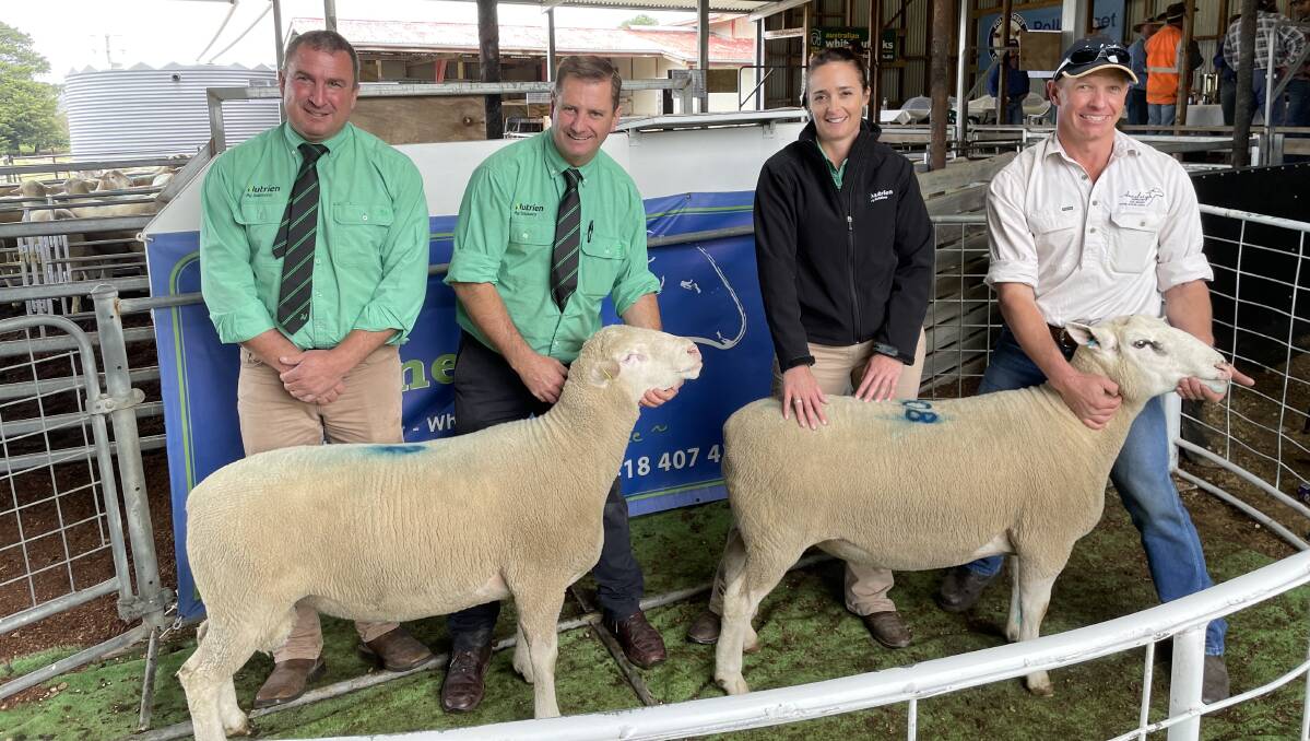 The top rams with Nutrien stud stock agents Tim Woodham and Rick Power, Nutrien Bombala livestock manager Sam Platts and Anneleigh stud principal Iain Ford. Photo: supplied 
