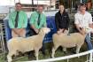 Anneleigh rams to $4200 top and $3111 average