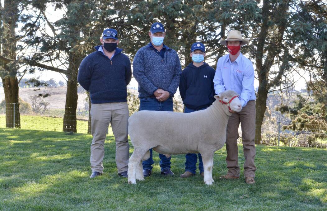 Joe, Andrew and Zac Scott of Valley Vista Poll Dorset stud, Coolac, with their $32,000 third top-priced ram held by James Gilmore of Tattykeel Poll Dorset stud, Oberon. 