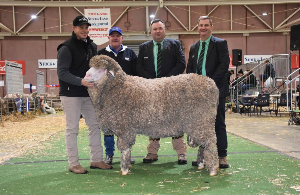 Collinsville Emperor 395 sold privately for $115,000 to the Kolindale stud, Dudinin, WA, with Collinsville stud general manager Tim Dalla, Hallett, SA, Tony Brooks, Brooks Merino Services, who acted on behalf of the Kolindale stud in purchasing the ram and Nutrien stud stock representatives Brad Wilson and Rick Power.