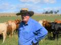 Russell Menzies and his family run a self-replacing herd of 150 composite breeders and they trade around 1200 head of cattle annually at their Wirra property at Mangoplah. Photo: Brett Tindal 