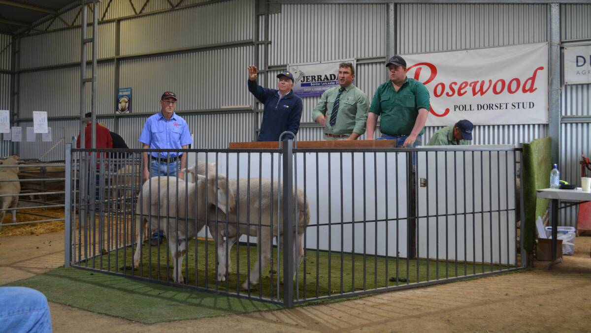 Overall 91 rams sold of 106 on offer for a 86 per cent clearance. Pictures: Hannah Powe