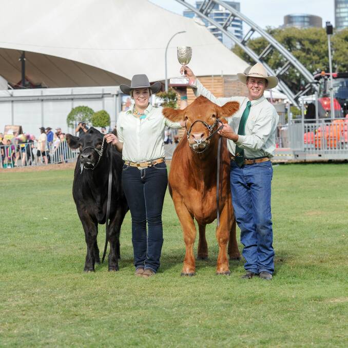 Hayleigh Duvall of H and L Livestock and Peter Kylstra of Progress Limousins, Yanco, with Progress Perfect Storm P5 and the Urquhart Perpetual Trophy. Photo: Lucy Kinbacher