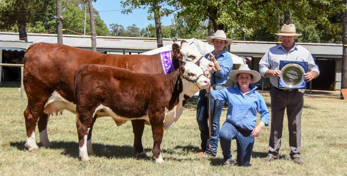 The supreme champion interbreed female held by Savannah Boutsikakis, andSarah Seaman, Goulburn, with owner Ken Ikin, Cloverlee Poll Herefords, Bannister.  
