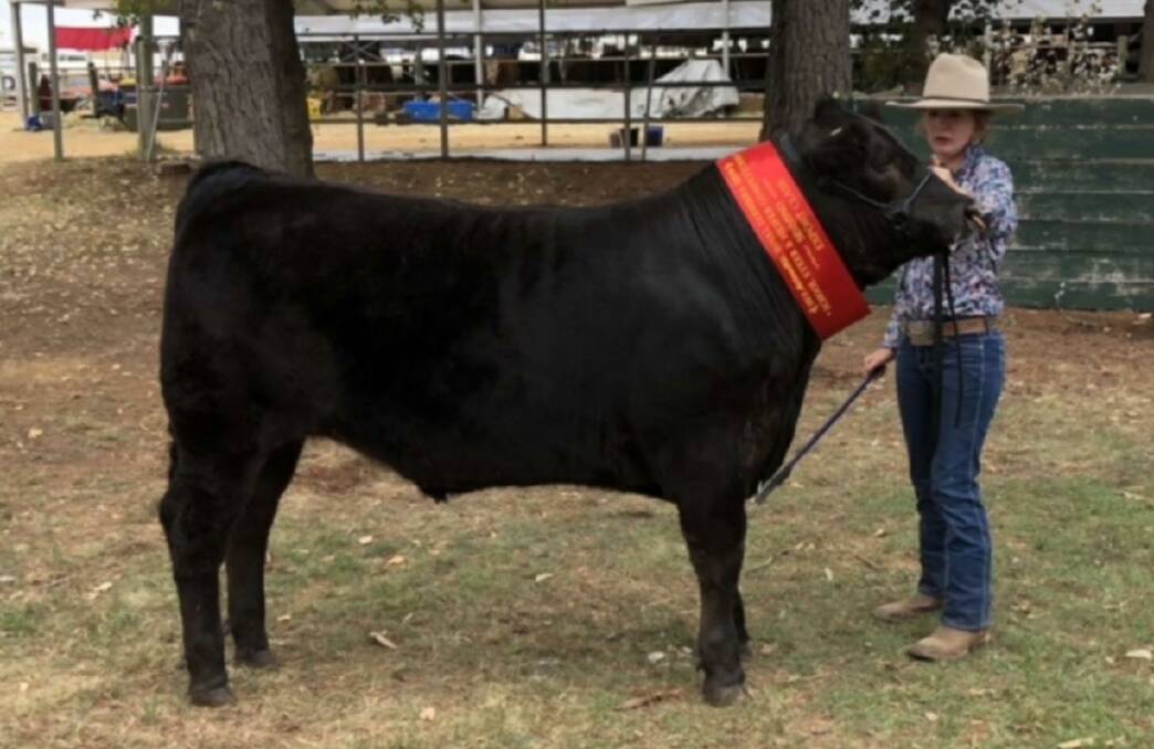 The grand champion carcase of the show went to tag 504, a Limousin steer exhibited by St Johns College, Dubbo, pictured with Jorgia Scott, Dubbo. Photo supplied. 
