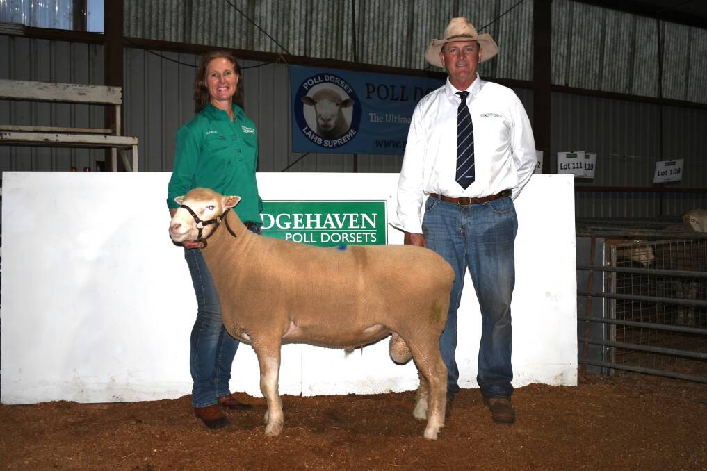The $5250 sale-topper with Isabele Roberts, Ridgehaven Poll Dorsets, Cudal, and Paul Breen, Kevin Miller, Whitty, Lennon and Co, Canowindra. Photos: KWML