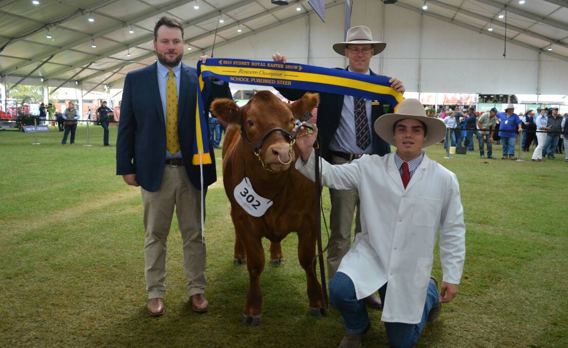 Judge Ben Davies from Thomas International and RAS councillor Alastair Rayner sash the reserve champion school steer held by Ben Cameron of Calrossy Anglican School.