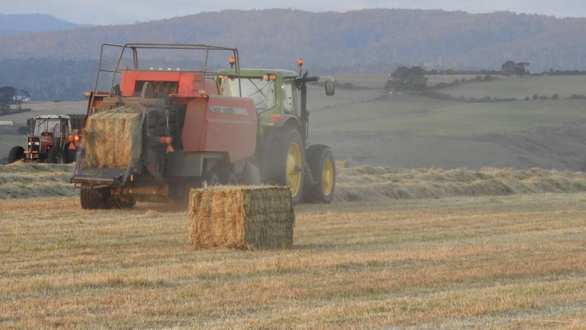 Baling of the crop resulted in 63 8x4x3 bales of hay to be loaded on the truck to head across on the boat and be transported to NSW. Photo supplied. 