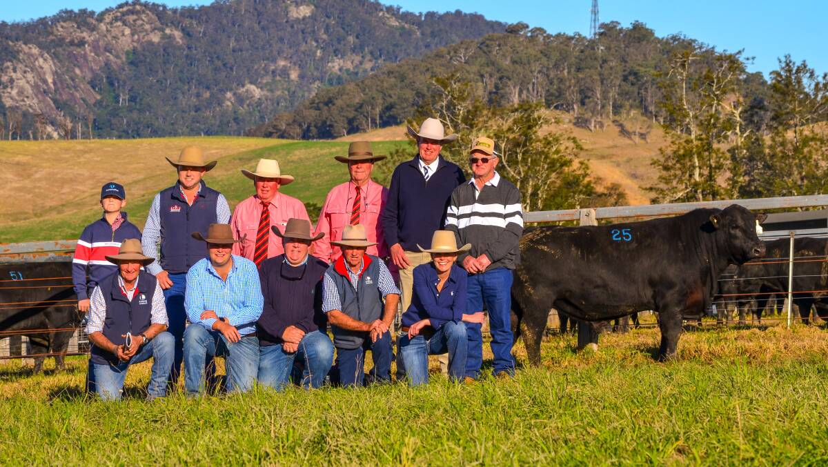 The second-top priced bull sold in 2022 was Knowla So Right S48, an Angus sold for $190,000 to Sprys-W Angus, Wagga Wagga and Cottage Creek Angus, Tarcutta at the Laurie family's Knowla Livestock sale held near Gloucester. Photo: Annie Laurie 