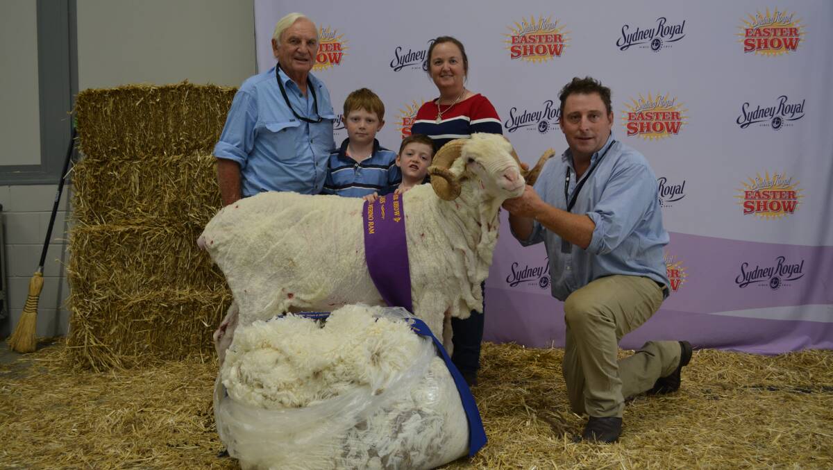 Champion Merino production ram exhibited by Grassy Creek Merinos, pictured with the family Roger Webster, Toby, 8, and Hugh, 6, Jane and Michael Corkhill, Boorowa. 