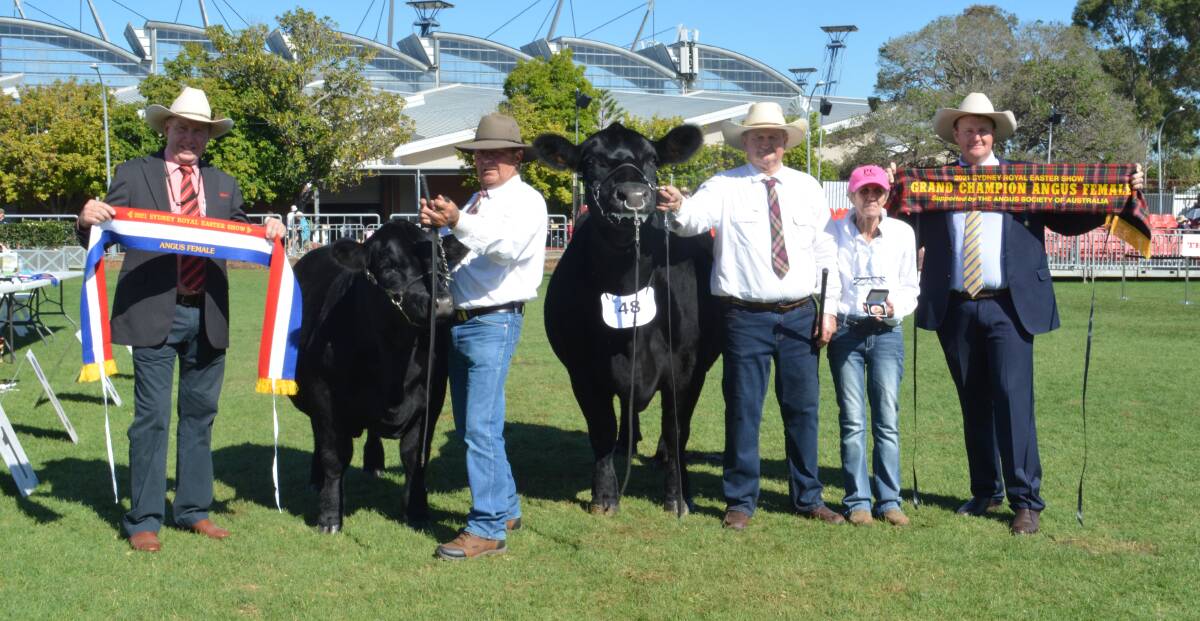 Elders stud stock representative Paul Jameson, Dubbo, Ross Anderson, Arding, Greg and Sharon Fuller, Pine Creek Angus, Woodstock, and judge Troy Setter, Consolidated Pastoral Company, Brisbane, Qld. 