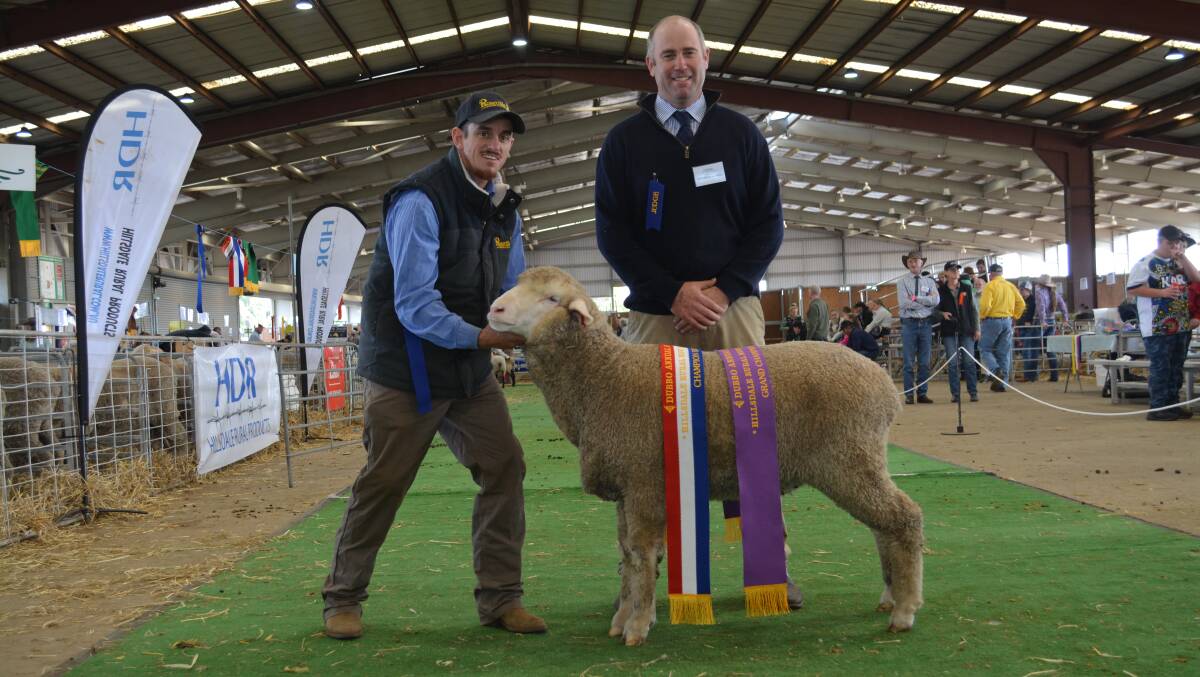 Grand champion open Merino ewe of show went to the champion March shown ewe, Roseville Park 41. 