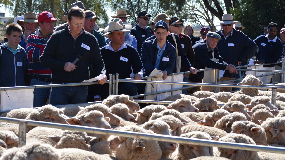 Australian Merino Sire Evaluation Association's Ben Swain with the microphone explains  the Macquarie Merino Lifetime Productivity project  to visitors during a recent field day held at the Trangie research centre.