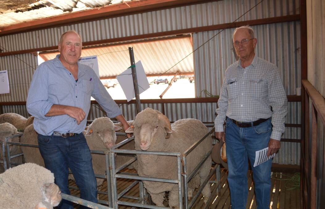 Vendor Adrian O'Keeffe, Bungoona Merinos, Molong, with the $2700 sale-topper and purchaser Donald Macfarlane, Eurella, Cudal. 