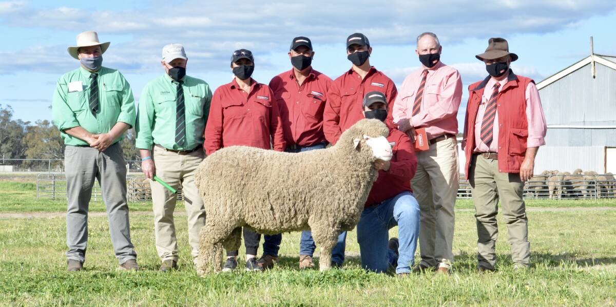 The Lachlan Merino $18,000 sale-topper with Nutrien stud stock agents Brad Wilson and John Settree, Margot, Glen, Campbell and Mitch (kneeling) Rubie of Lachlan Merinos, Warroo and Elders stud stock agents Paul Jameson and Scott Thrift, Dubbo. 