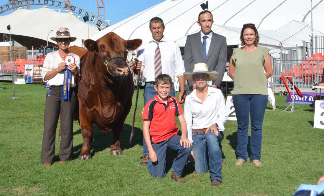 Red Angus judge Erica Halliday, Ben Nevis Angus, Walcha, with the supreme Red Angus exhibit led by David Hobbs of Round-Em-Up Red Angus, Molong, sponsors Ben Lawrence, Ashleigh Hobbs and (kneeling) Hunter and Taylah Hobbs. 