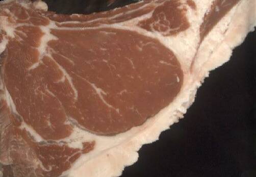 The 93 point-scoring Angus carcase, with a marble score of three, from Bowmont Angus, Tatyoon, Vic. 