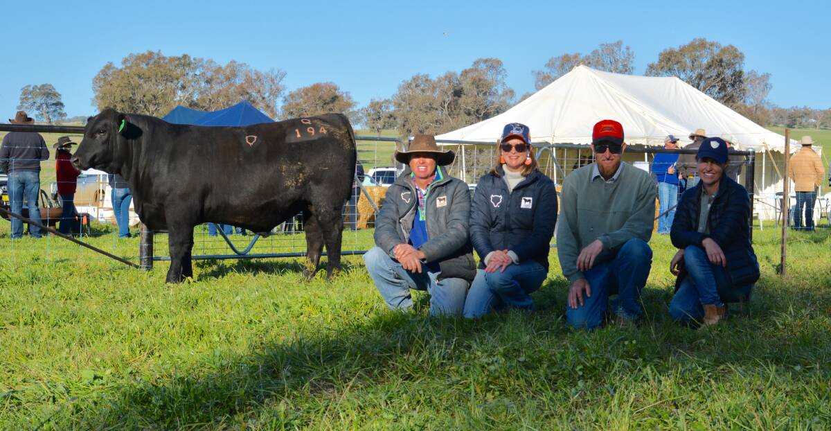 One of the three equal top-priced bulls, Choice Q194, sold for $9500 with Tim and Bec Brazier of Choice Angus, Molong, and purchasers Matthew Fletcher and Louise Turner of Turner Family Trust, Cowra. Photo: Hannah Powe 