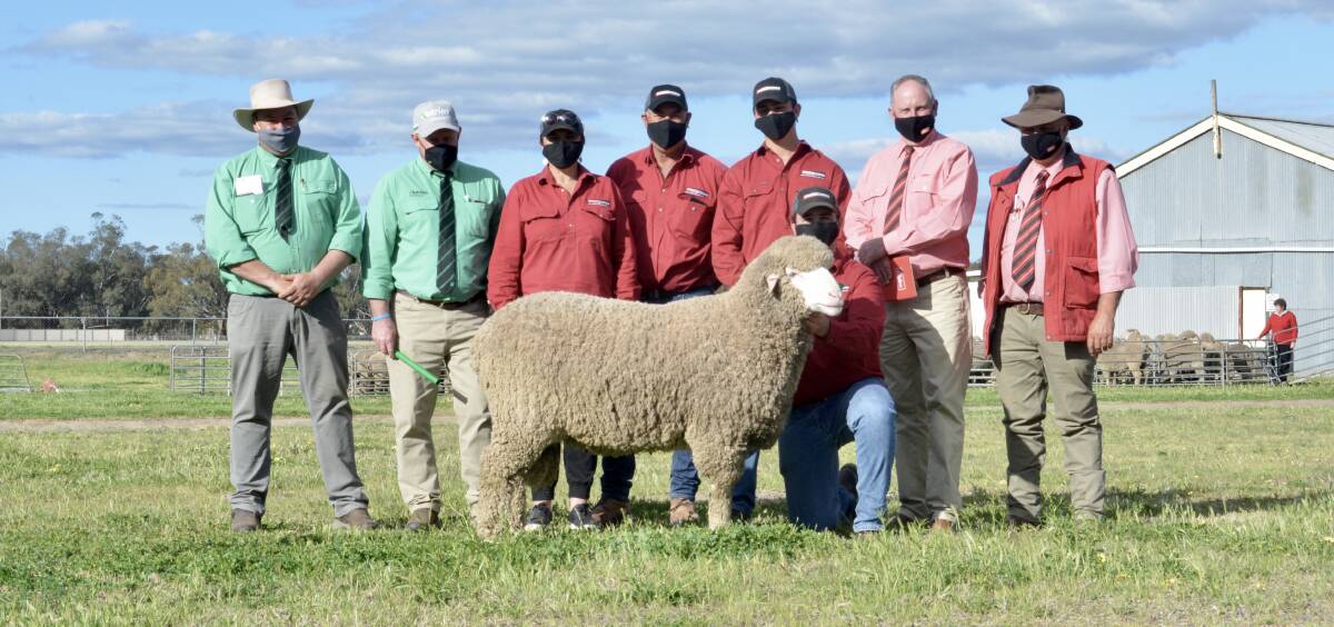 The $18,000 sale-topper with Nutrien stud stock agents Brad Wilson and John Settree, Margot, Glen, Campbell and Mitch (kneeling) Rubie of Lachlan Merinos, Warroo and Elders stud stock agents Paul Jameson and Scott Thrift, Dubbo 