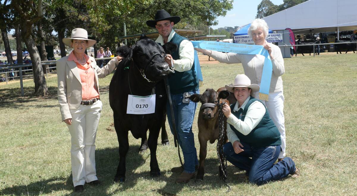 The supreme champion exhibit with judge Kerrie Sutherland, paraders Jordan Ridge and Tahlia Chandler with presenter Carolyn Tooth formerly of Longreach Limousins. Picture: Rachael Webb