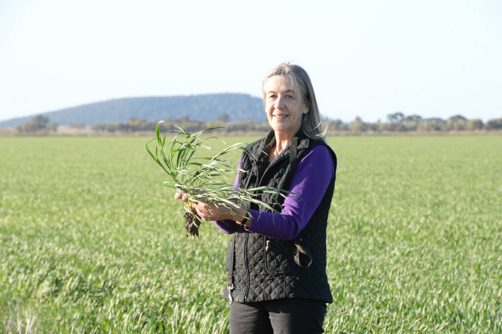 Buller Pastoral Co's Debbie Buller: "Some of those winter crops are going to go down, which is ridiculous.”