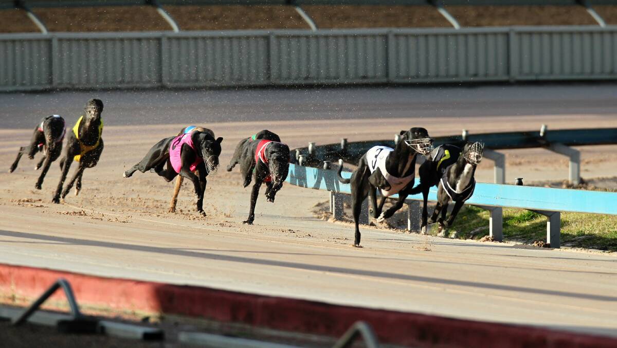 Primary Industries Minister Niall Blair was at pains to allay farmer fears and said the ban was isolated to Greyhounds.