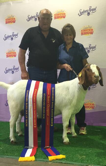 Mugambi stud's Paul and Jan Ormsby with their best boer goat in show