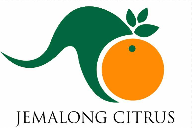Jemalong Citrus comprises of 170,000 orange trees with principally winter juicing varieties.