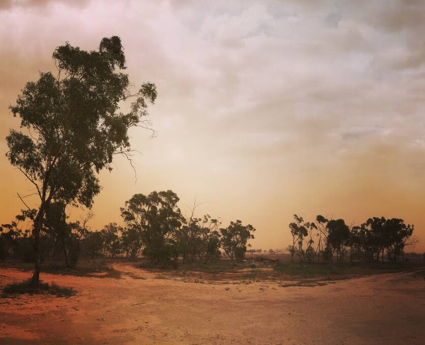 A dust storm at "Burragan", 100km east of Wilcannia last week. For many NSW regions, patchy summer rain seems to have blessed some, but not others. Photo by Bessie Thomas.