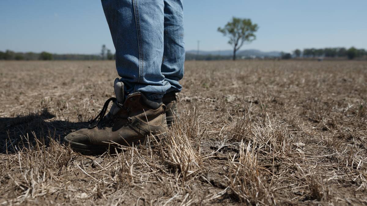 Farmer photos to fill gaps in ‘prototype’ NSW drought map