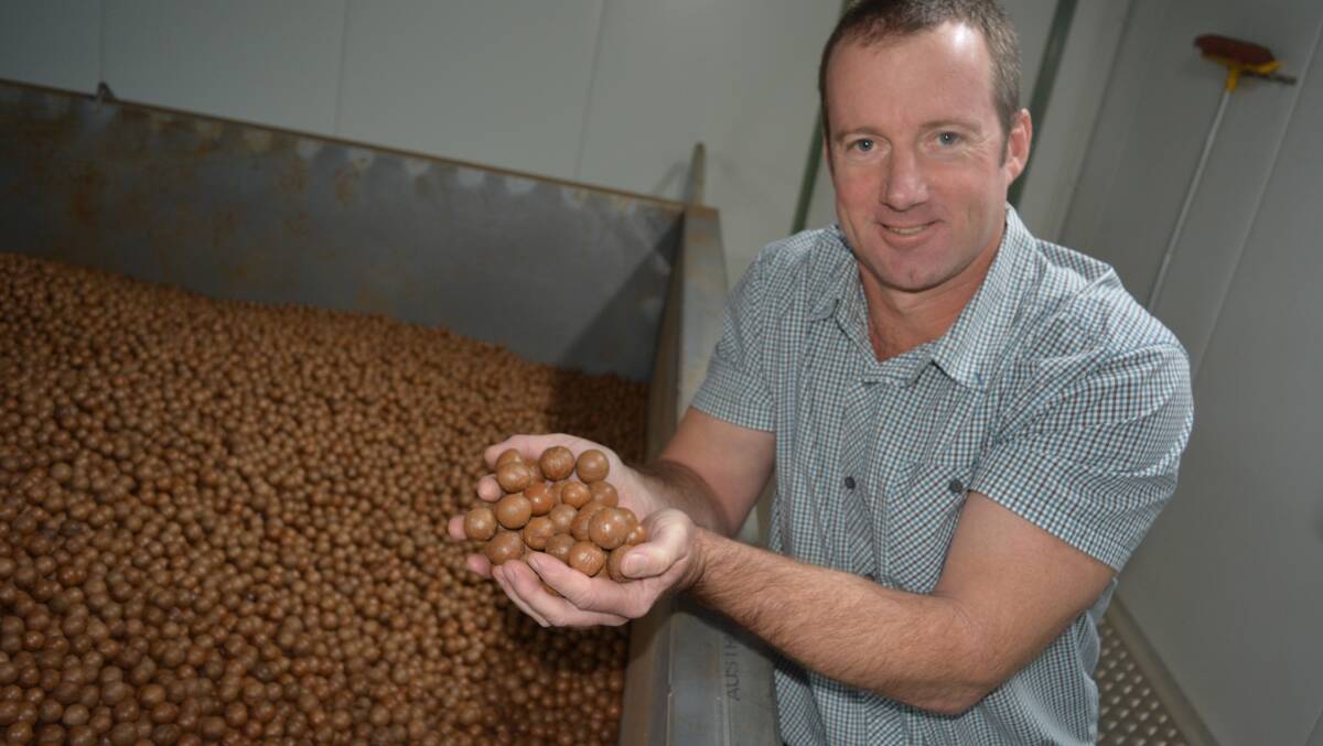 Macadamia Processing Company general manager Steven Lee. Photo by Shan Goodwin. 