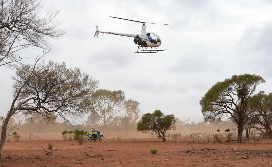 The Pastoralists' Association of West Darling has become increasingly concerned about the implications for farmers who hire aircraft to muster livestock in the unfortunate event that something goes wrong. it's one of the top ticket items for the AGM on May 18. 