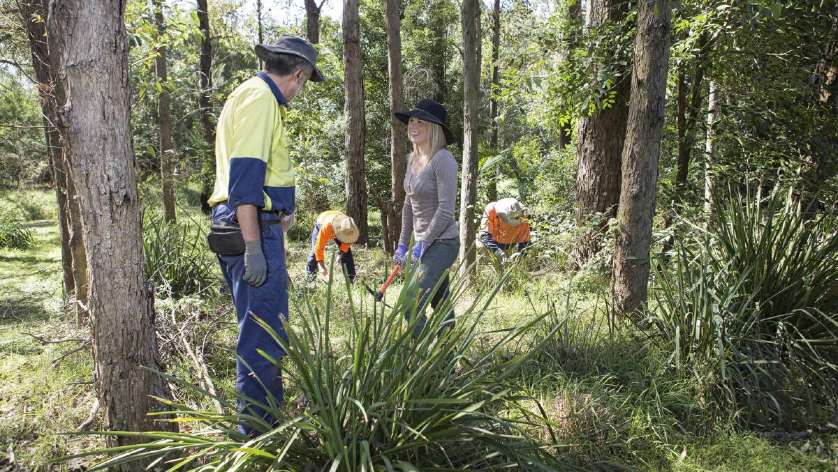 NSW Farmers native vegetation working group spokesman Mitchell Clapham said the Association called on the Government to improve its yearly reporting.