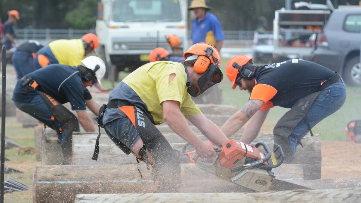 Chainsaw events at the 2017 Taree Show. Photo by Scott Calvin. 