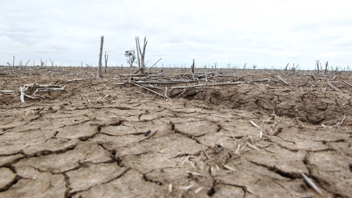 Communities between Walgett and Bourke are suffering after four years of drought. Photo by Sydney Morning Herald. 