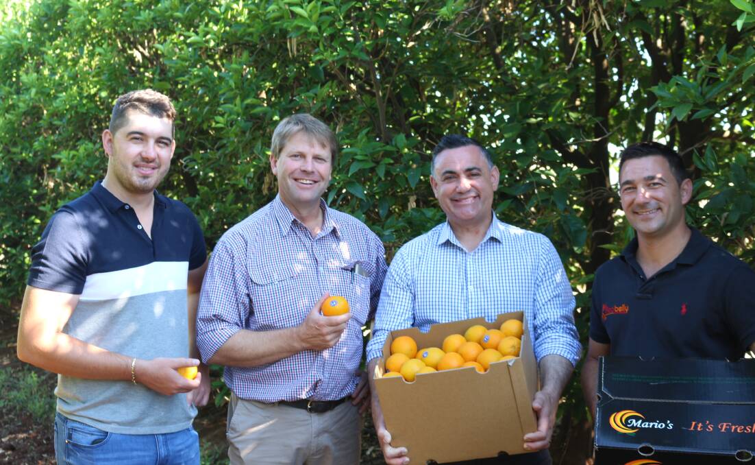Murray MP Austin Evans and Deputy Premier John Barilaro with horticulturalists Vito Mancini and Stefan Scarfone in Griffith today. Photo by Jessica Coates. 
