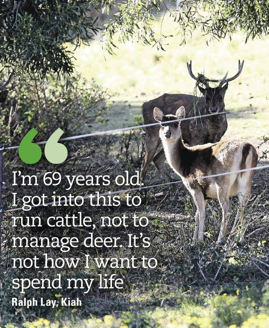 Farmers in southern NSW say they are restricted from controlling feral deer as a result of its status as game animal and not a pest. 
