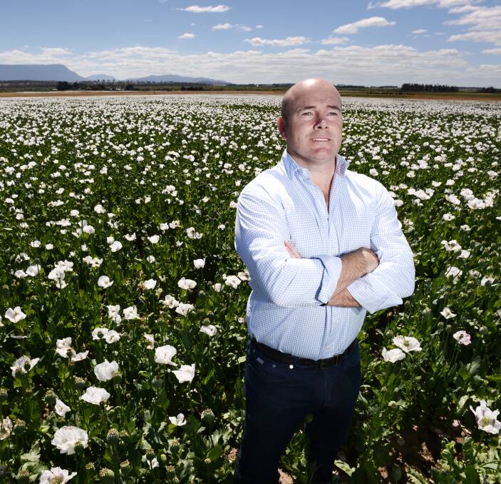TPI Enterprises chief executive Jarrod Ritchie says he wants 5000 hectares of poppies growing in NSW in the next five years. TPI is one of three processors in Australia who can licence farmers to grow poppies. Photo by Scott Gelston. 